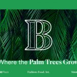 palmtrees