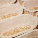 GB_January_2025__229